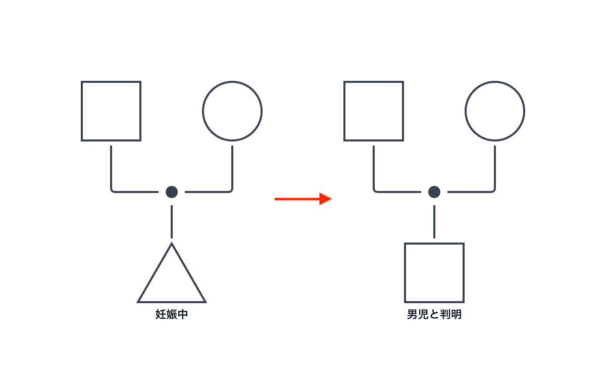 胎児の性別が判明している場合は、三角形の代わりに性別の記号をそのまま使うことも